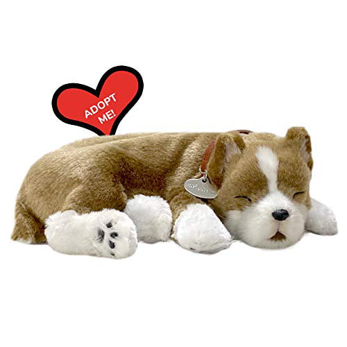 Precious Petzzz Breathing Sleeping Lifelike Chihuahua Dog Lovers Gift Boxed Pet